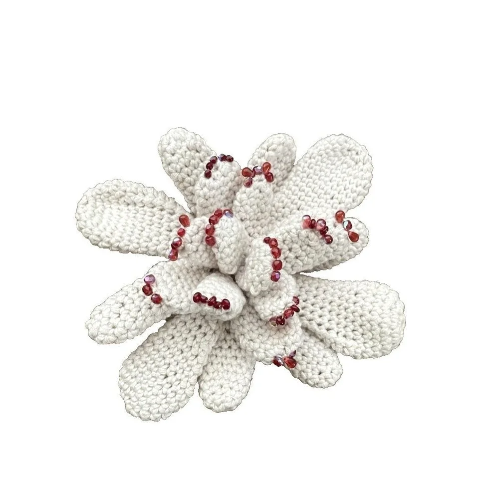 Handmade Succulent with Red Beads Crochet Blooming Cactus Cream Office Decor